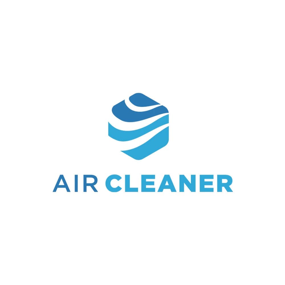 air_cleaner_1000