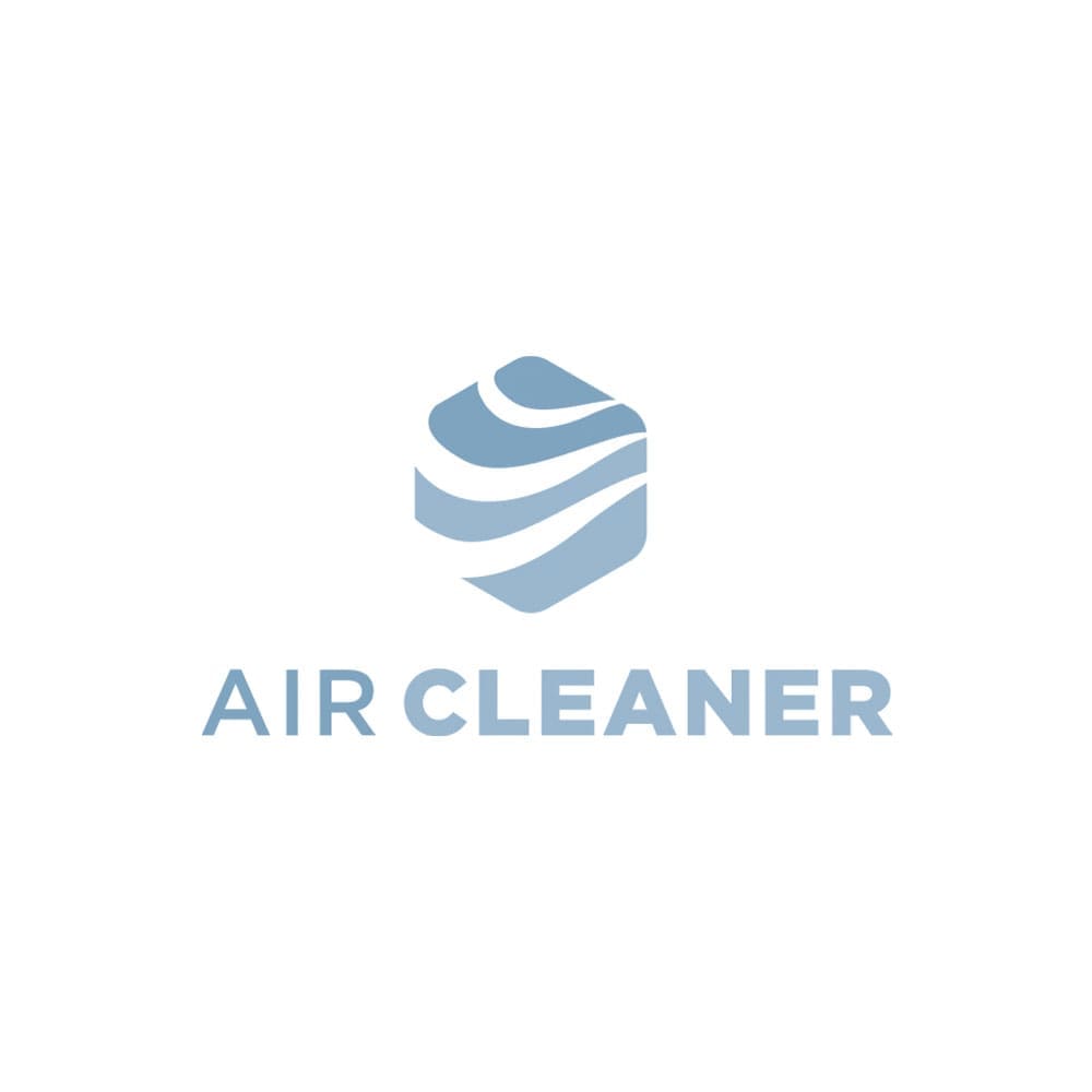 air_cleaner_2_1000